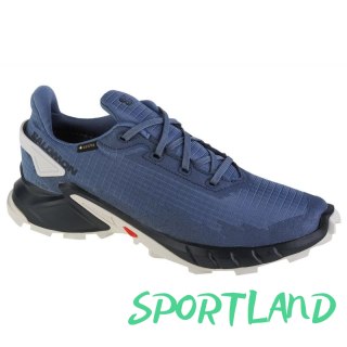 Buty do biegania Salomon Alphacross 4 GTX M 471168 44