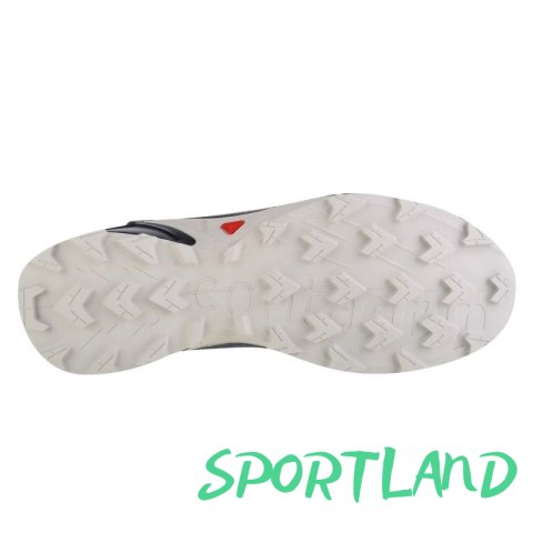Buty do biegania Salomon Alphacross 4 GTX M 471168 44 Buty do biegania Salomon Alphacross 4 GTX M 471168 44