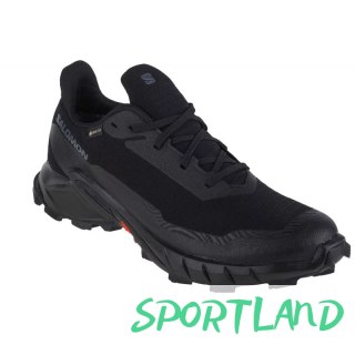 Buty do biegania Salomon Alphacross 5 GTX M 473075 43 1/3