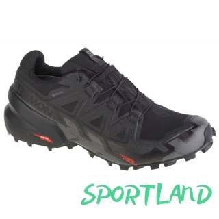 Buty do biegania Salomon Speedcross 6 GTX M 417386 44