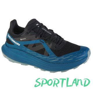 Buty do biegania Salomon Ultra Flow GTX M 474739 45 1/3