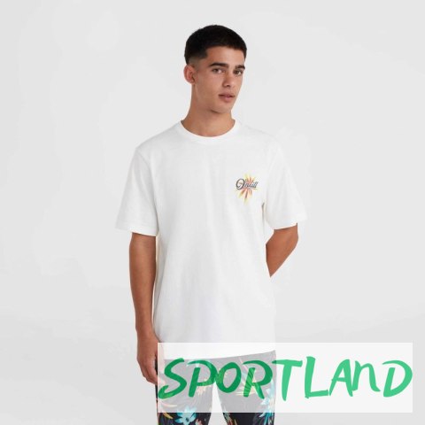 Koszulka O'Neill Beach Graphic T-Shirt M 92800613984 L Koszulka O'Neill Beach Graphic T-Shirt M 92800613984 L