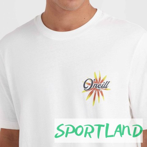 Koszulka O'Neill Beach Graphic T-Shirt M 92800613984 L Koszulka O'Neill Beach Graphic T-Shirt M 92800613984 L