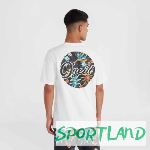 Koszulka O'Neill Beach Graphic T-Shirt M 92800613984 L Koszulka O'Neill Beach Graphic T-Shirt M 92800613984 L