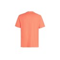 Koszulka O'Neill Cali Original T-Shirt M 92800613165 L