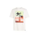 Koszulka O'Neill Jack Neon T-Shirt M 92800613598 M Koszulka O'Neill Jack Neon T-Shirt M 92800613598 M