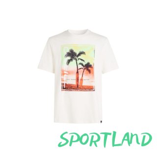 Koszulka O'Neill Jack Neon T-Shirt M 92800613598 M