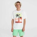Koszulka O'Neill Jack Neon T-Shirt M 92800613598 M Koszulka O'Neill Jack Neon T-Shirt M 92800613598 M