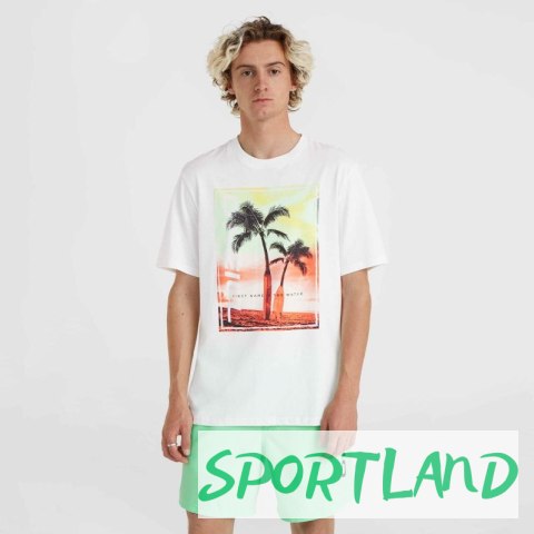 Koszulka O'Neill Jack Neon T-Shirt M 92800613598 M