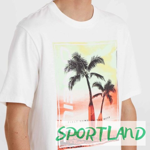 Koszulka O'Neill Jack Neon T-Shirt M 92800613598 M
