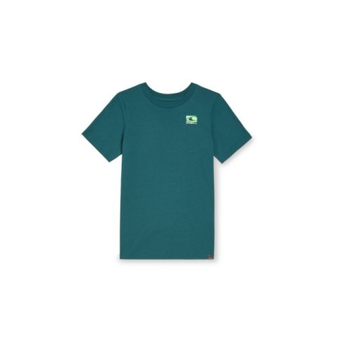 Koszulka O'Neill Jack T-Shirt Jr 92800613615 152