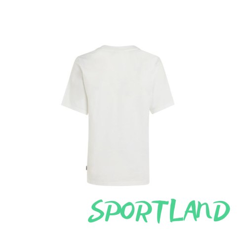 Koszulka O'Neill Luano Graphic T-Shirt W 92800613707 M Koszulka O'Neill Luano Graphic T-Shirt W 92800613707 M