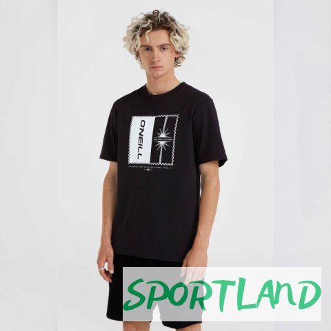 Koszulka O'Neill Mix & Match Palm T-Shirt M 92800613909 M Koszulka O'Neill Mix & Match Palm T-Shirt M 92800613909 M