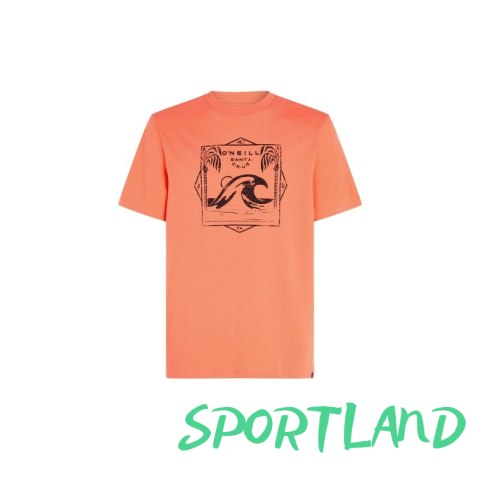 Koszulka O'Neill Mix & Match Wave T-Shirt M 92800613917 M Koszulka O'Neill Mix & Match Wave T-Shirt M 92800613917 M