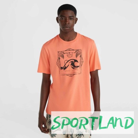 Koszulka O'Neill Mix & Match Wave T-Shirt M 92800613917 M Koszulka O'Neill Mix & Match Wave T-Shirt M 92800613917 M