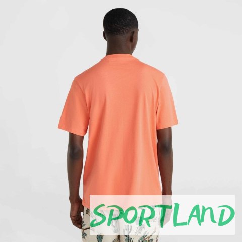 Koszulka O'Neill Mix & Match Wave T-Shirt M 92800613917 M Koszulka O'Neill Mix & Match Wave T-Shirt M 92800613917 M