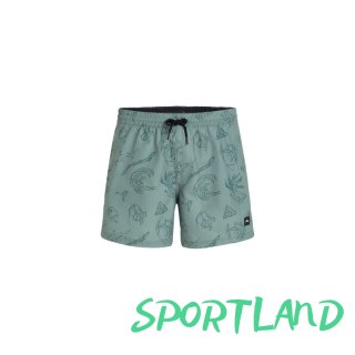 Szorty kąpielowe O'Neill Mix&Match Cali Print 15'' M 92800613869 M