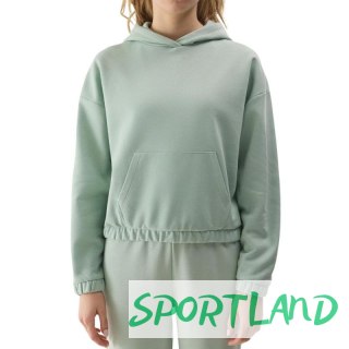 Bluza 4F W 4FWSS24TSWSF1057 42S M