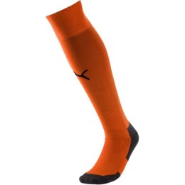 Getry piłkarskie Puma Liga Core Socks 703441 08 31-34