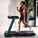 Bieżnia elektryczna Reebok FR20z Floatride RVFR-10121GRZ N/A