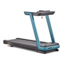 Bieżnia elektryczna Reebok FR20z Floatride RVFR-10121GRZ N/A