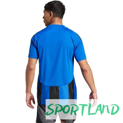 Koszulka adidas Striped 24 Jersey M IW2147 2XL Koszulka adidas Striped 24 Jersey M IW2147 2XL
