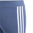 Legginsy adidas Essentials 3-Stripes Cotton Tights Jr IS2633 164cm Legginsy adidas Essentials 3-Stripes Cotton Tights Jr IS2633 164cm