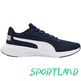 Buty Puma Night Runner V2 M 379257 03 42,5