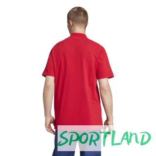 Koszulka polo adidas Bayern Monachium M IT4145 L (183cm)