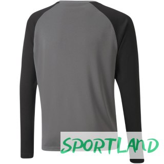 Bluza bramkarska Puma teamPacer GK LS Jersey Jr 704939 43 152cm