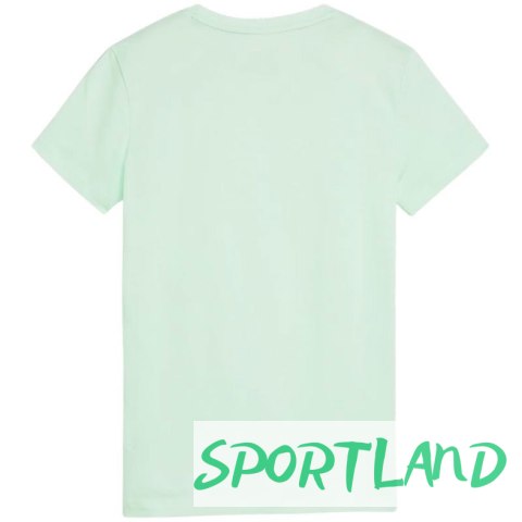 Koszulka Puma ESS Logo Tee W 586775 90 M Koszulka Puma ESS Logo Tee W 586775 90 M