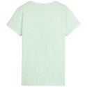 Koszulka Puma ESS+ Summer Daze Tee W 679921 88 M
