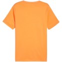 Koszulka Puma Essential M 847382 58 S Koszulka Puma Essential M 847382 58 S