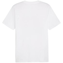 Koszulka Puma Graphics Summer Sports Tee II M 627909 02 L
