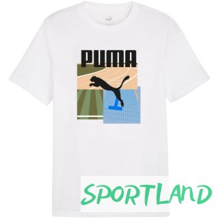 Koszulka Puma Graphics Summer Sports Tee II M 627909 02 M