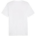 Koszulka Puma Graphics Summer Sports Tee II M 627909 02 M