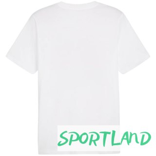 Koszulka Puma Graphics Summer Sports Tee II M 627909 02 M