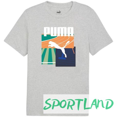 Koszulka Puma Graphics Summer Sports Tee II M 627909 04 S Koszulka Puma Graphics Summer Sports Tee II M 627909 04 S