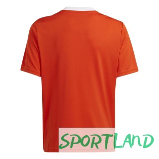 Koszulka adidas Team Icon 23 Jr IC1254 152