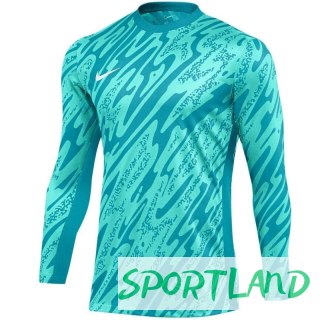 Bluza Nike Gardien V Goalkeeper DF V M FD7474-354 L