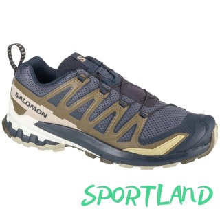 Buty Salomon XA Pro 3D v9 M 474675 46
