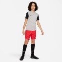 Koszulka Nike Dri-Fit Tiempo Premier 2 Jr DH8389-052 L (147-158cm)