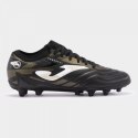 POWERFUL 2401 BLACK GOLD FIRM GROUND 40