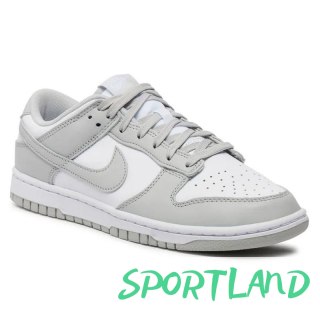 Buty Nike Dunk Low Retro M DD1391-103 46
