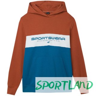 Bluza 4F M 4FWSS24TSWSM1032 81S L
