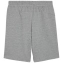 Spodenki męskie Puma teamGOAL Casuals szare 658608 33 M Spodenki męskie Puma teamGOAL Casuals szare 658608 33 M
