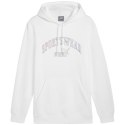 Bluza Puma Ess+ Logo LAB Gradient Hoodie FL M 681775 02 M
