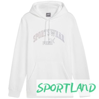 Bluza Puma Ess+ Logo LAB Gradient Hoodie FL M 681775 02 M