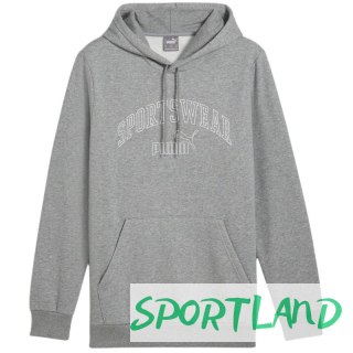 Bluza Puma Ess+ Logo LAB Gradient Hoodie FL M 681775 03 M