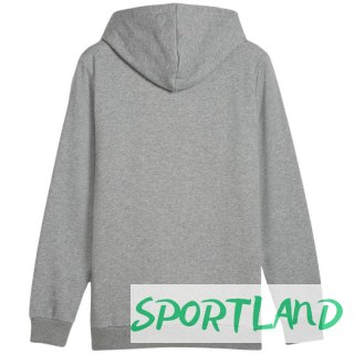 Bluza Puma Ess+ Logo LAB Gradient Hoodie FL M 681775 03 M